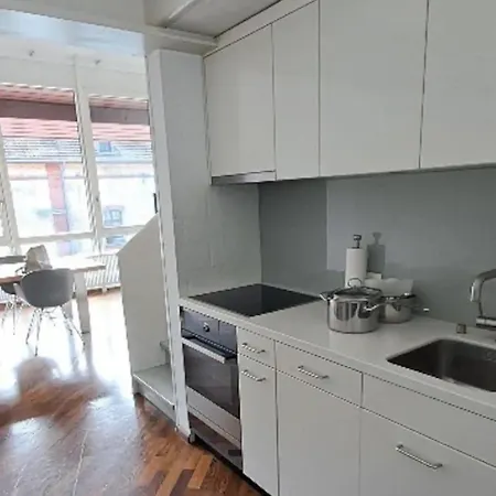 Exclusive Loft In Seefeld - Muehle * 취리히